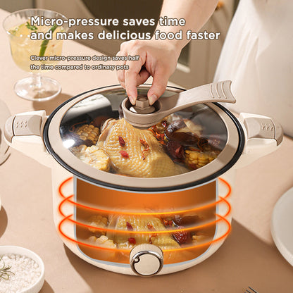 2-in-1 Dreepor Electric Cooker Hot Pot — Perfect for Filipino Cooking, Soups & Stir-Fry