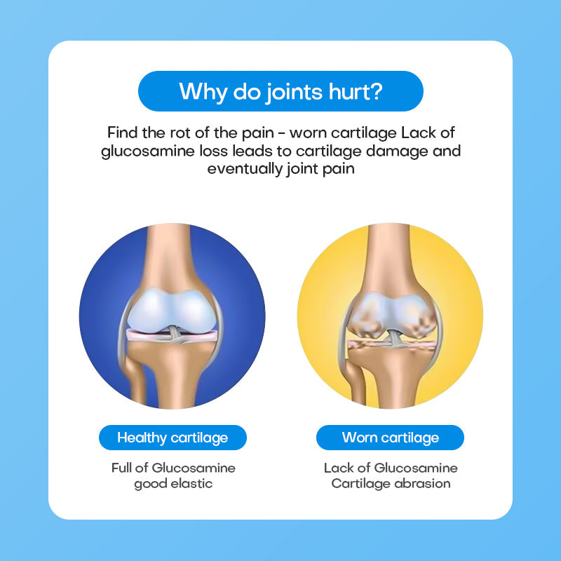 Dreepor & 9Young-Basic Glucosamine & Vitamin D – Bone & Joint Care