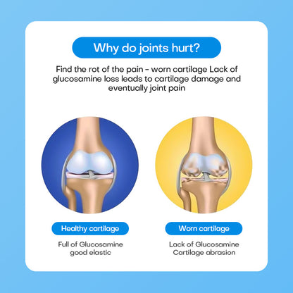 Dreepor & 9Young-Basic Glucosamine & Vitamin D – Bone & Joint Care
