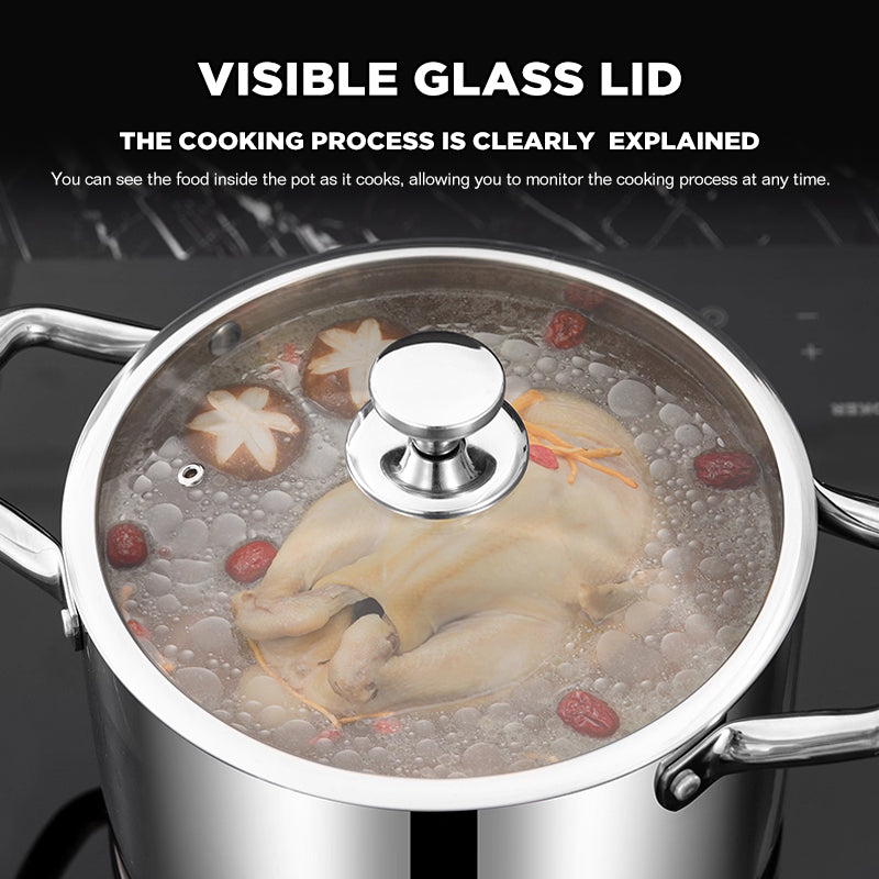 Dreepor 304 Stainless Steel Soup Pot with Glass Lid – Non-Stick Cooking Pot PH