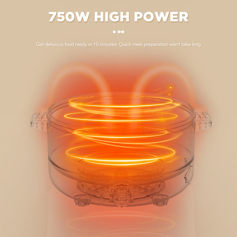 Dreepor 2L Double-Layer Steamer & electric cooker Philippines