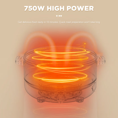 Dreepor 2L Double-Layer Steamer & electric cooker Philippines